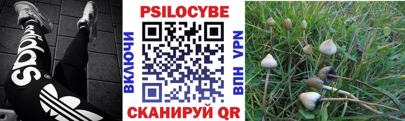 Псилоцибиновые грибы Psilocybine cubensis Шлиссельбург